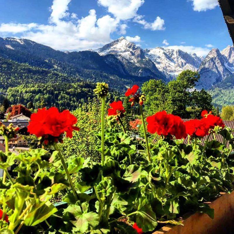 Gaestehaus Hohe Tannen جارمش بارتنكيرشن المظهر الخارجي الصورة